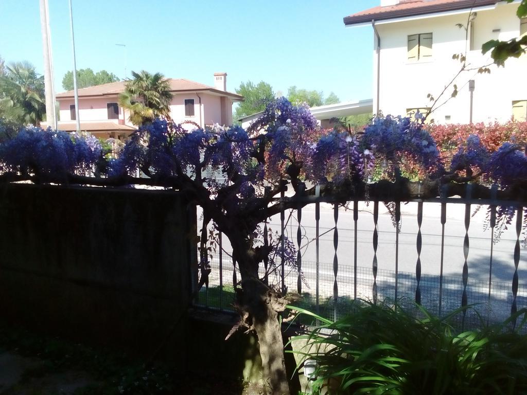 Appartamento Casa Della Nonna Noventa di Piave Ngoại thất bức ảnh