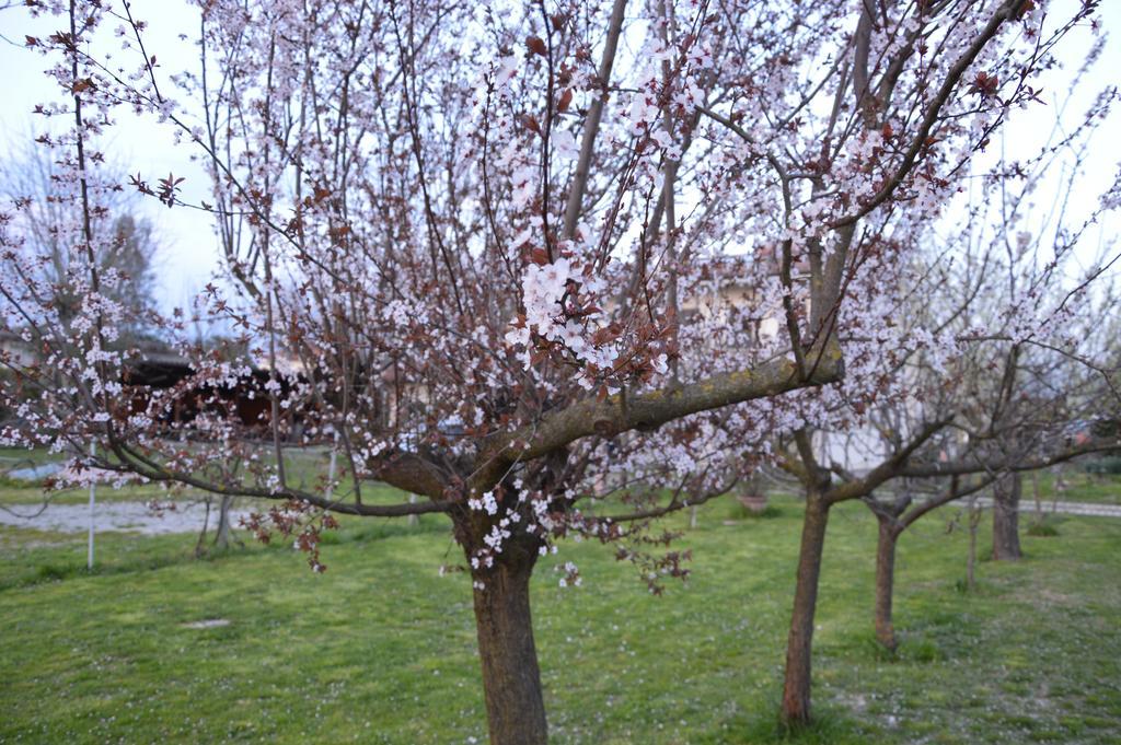 Appartamento Casa Della Nonna Noventa di Piave Ngoại thất bức ảnh